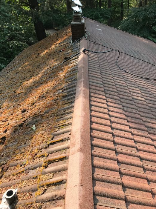 Roof-Cleaning-Before-After.jpg