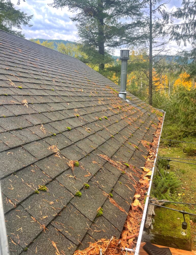 Gutters filled with pine needles