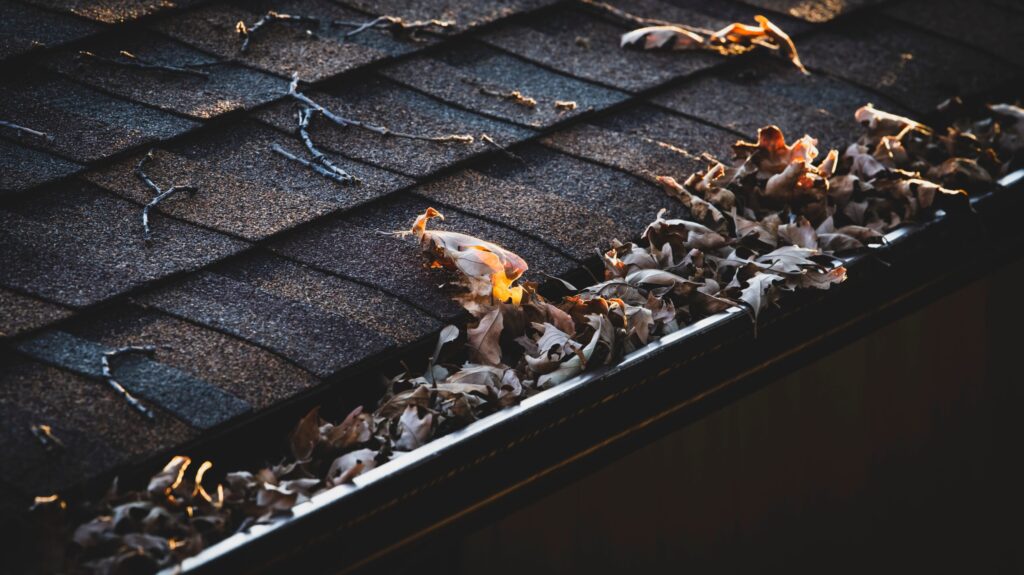 portland_gutter_cleaning_service