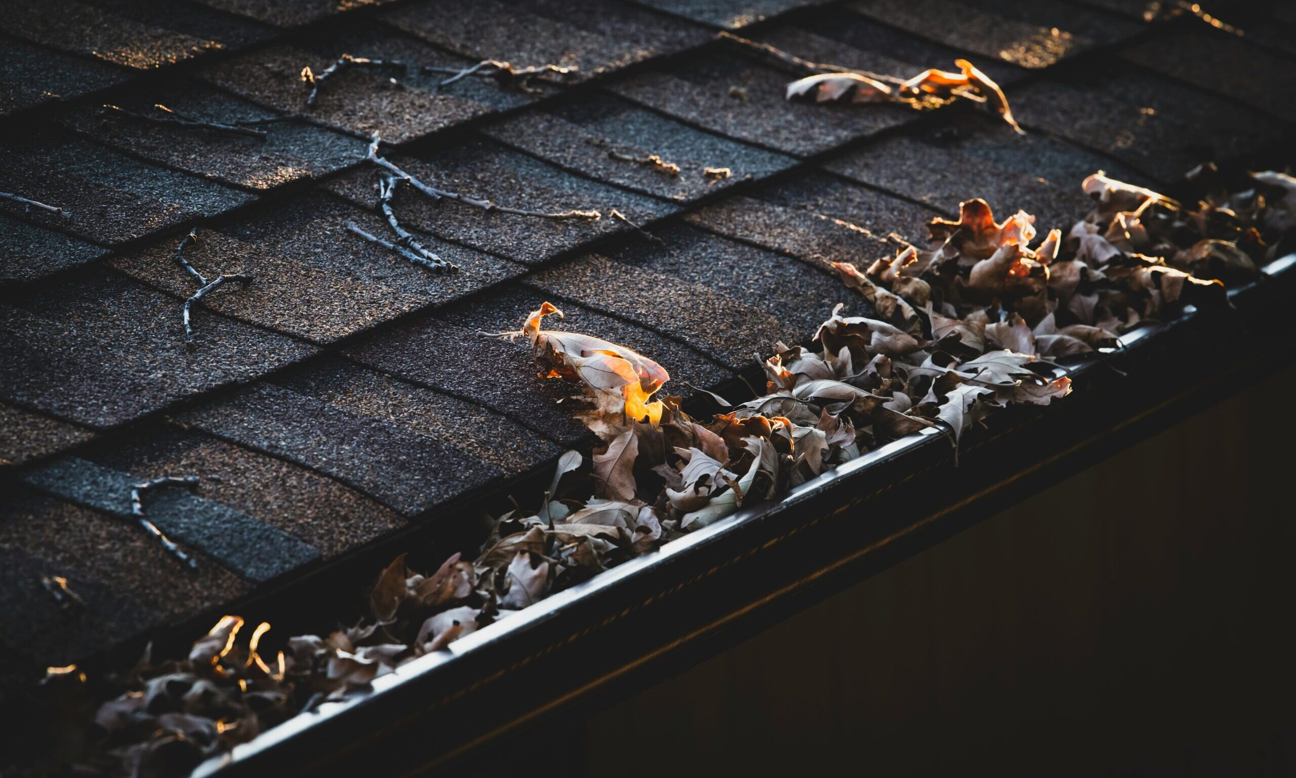 Gutter Cleaning Portland OR