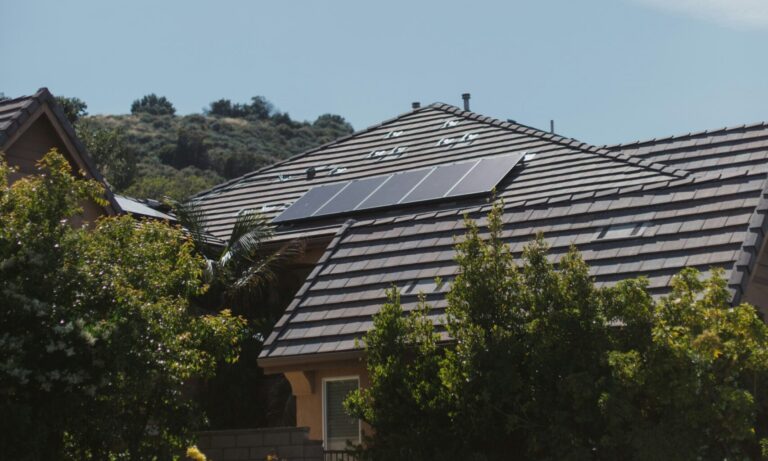 solar panel cleaning