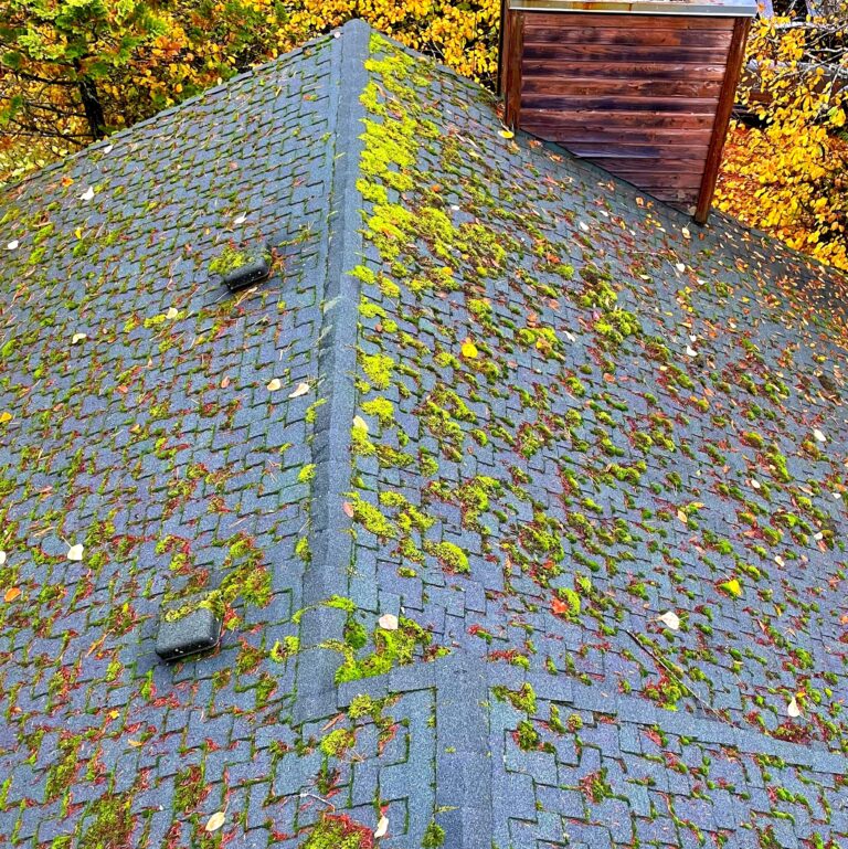 Before roof cleaning