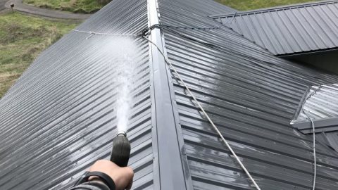 Roof-Cleaning-Service.jpg