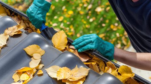 gutter-cleaning-frequency